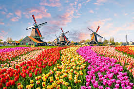 Keukenhof Gardens