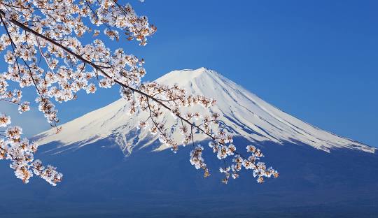 Mt. Fuji