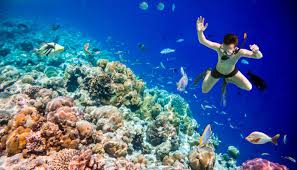 Snorkeling