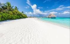 Beach Relaxation